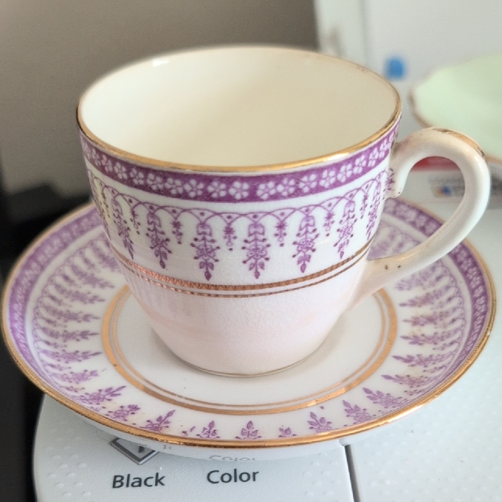 Vestal Purple and White Teacup and Saucer